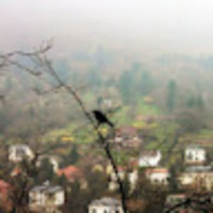 Meet your Posher, Kitchen table